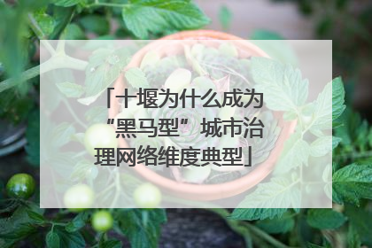 十堰为什么成为“黑马型”城市治理网络维度典型