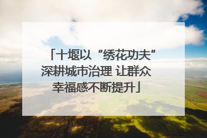 十堰以“绣花功夫”深耕城市治理 让群众幸福感不断提升