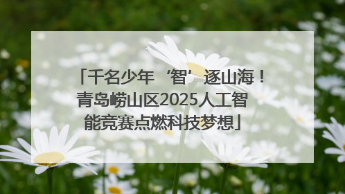 千名少年‘智’逐山海！青岛崂山区2025人工智能竞赛点燃科技梦想