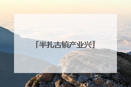 半扎古镇产业兴