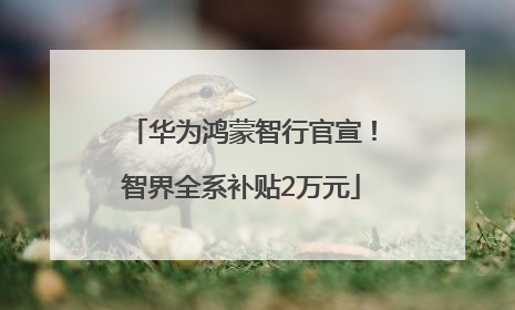 华为鸿蒙智行官宣！智界全系补贴2万元