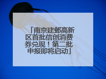 南京建邺高新区首批信创消费券兑现！第二批申报即将启动