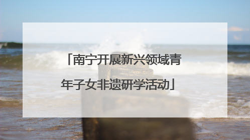 南宁开展新兴领域青年子女非遗研学活动