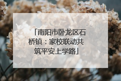 南阳市卧龙区石桥镇：家校联动共筑平安上学路