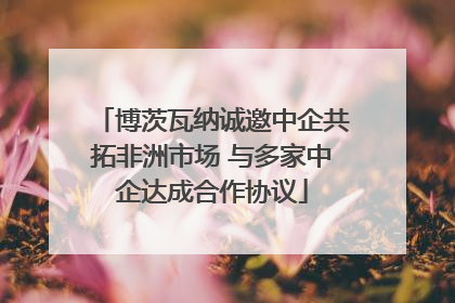博茨瓦纳诚邀中企共拓非洲市场 与多家中企达成合作协议