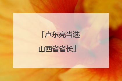 卢东亮当选山西省省长