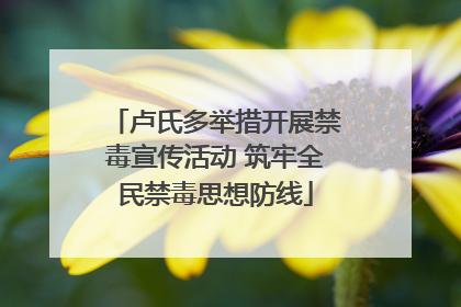 卢氏多举措开展禁毒宣传活动 筑牢全民禁毒思想防线