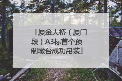 厦金大桥（厦门段）A3标首个预制墩台成功吊装
