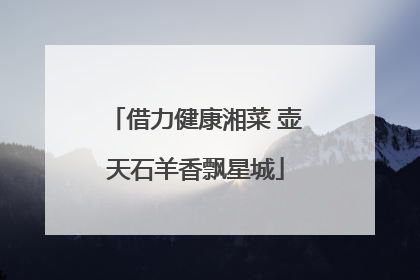 借力健康湘菜 壶天石羊香飘星城
