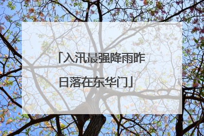 入汛最强降雨昨日落在东华门