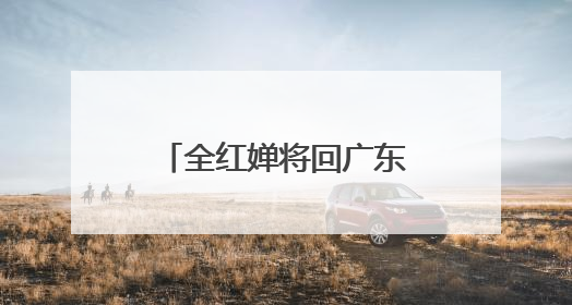 全红婵将回广东康复治疗 或缺席新加坡世锦赛