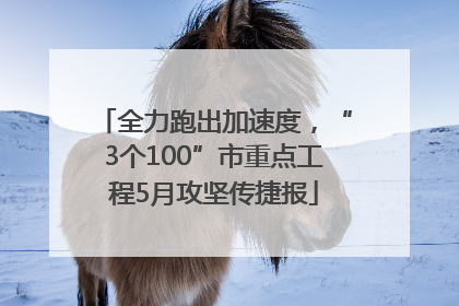 全力跑出加速度，“3个100”市重点工程5月攻坚传捷报