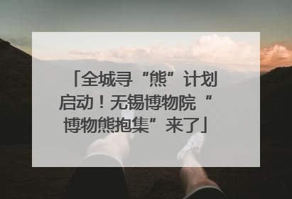 全城寻“熊”计划启动！无锡博物院“博物熊抱集”来了