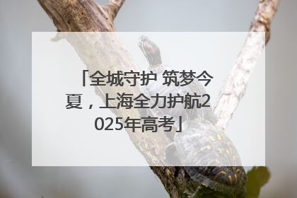 全城守护 筑梦今夏，上海全力护航2025年高考