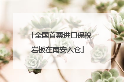 全国首票进口保税岩板在南安入仓