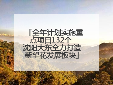 全年计划实施重点项目132个 沈阳大东全力打造新望花发展板块
