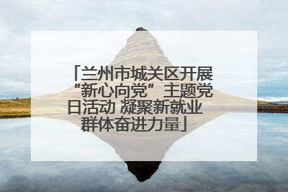 兰州市城关区开展“新心向党”主题党日活动 凝聚新就业群体奋进力量