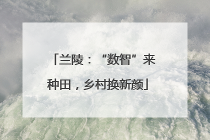 兰陵：“数智”来种田，乡村换新颜