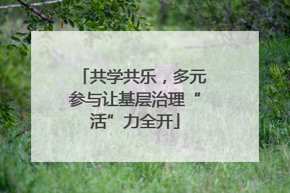 共学共乐，多元参与让基层治理“活”力全开