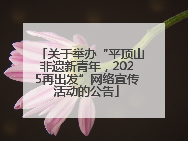 关于举办“平顶山非遗新青年，2025再出发”网络宣传活动的公告