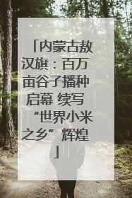内蒙古敖汉旗：百万亩谷子播种启幕 续写“世界小米之乡”辉煌