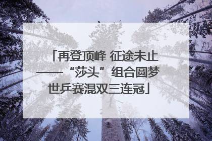 再登顶峰 征途未止——“莎头”组合圆梦世乒赛混双三连冠
