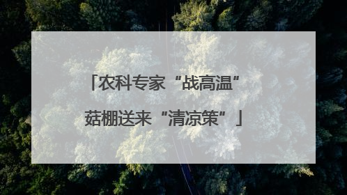 农科专家“战高温” 菇棚送来“清凉策”