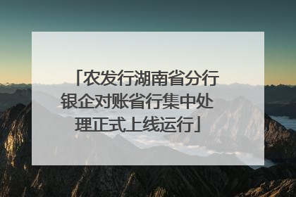 农发行湖南省分行银企对账省行集中处理正式上线运行
