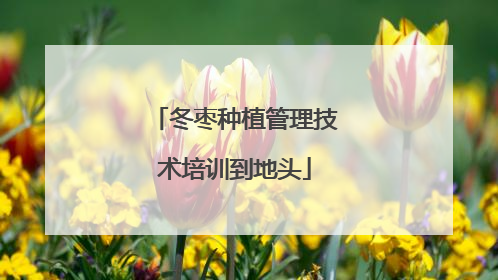 冬枣种植管理技术培训到地头