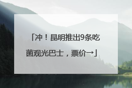 冲！昆明推出9条吃菌观光巴士，票价→