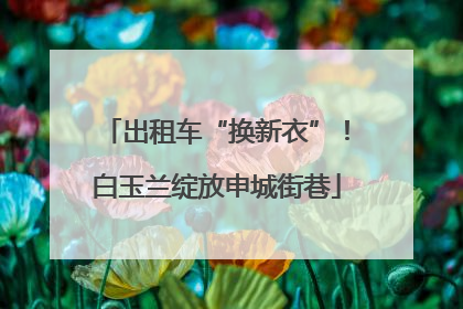 出租车“换新衣”！白玉兰绽放申城街巷
