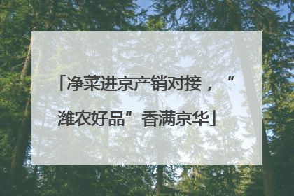 净菜进京产销对接，“潍农好品”香满京华