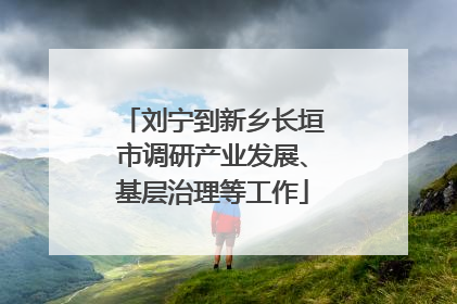 刘宁到新乡长垣市调研产业发展、基层治理等工作