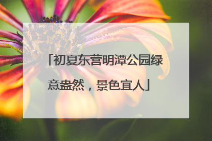 初夏东营明潭公园绿意盎然，景色宜人