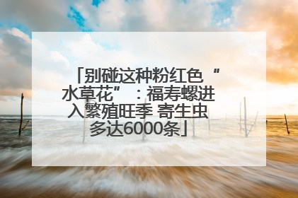 别碰这种粉红色“水草花”：福寿螺进入繁殖旺季 寄生虫多达6000条
