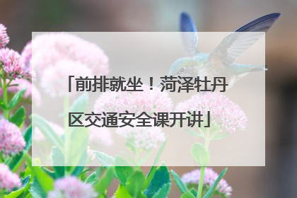 前排就坐！菏泽牡丹区交通安全课开讲