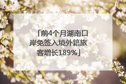 前4个月湖南口岸免签入境外籍旅客增长189%