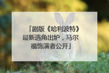 剧版《哈利波特》最新选角出炉，马尔福饰演者公开