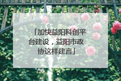 加快益阳科创平台建设，益阳市政协这样建言