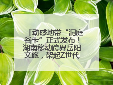 动感地带“洞庭谷卡”正式发布！湖南移动跨界岳阳文旅，架起Z世代文化共振桥梁