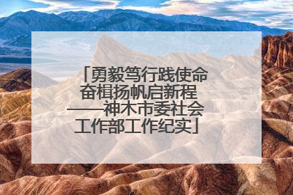 勇毅笃行践使命 奋楫扬帆启新程——神木市委社会工作部工作纪实