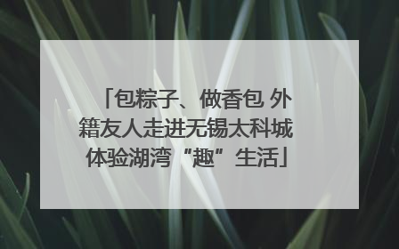 包粽子、做香包 外籍友人走进无锡太科城体验湖湾“趣”生活