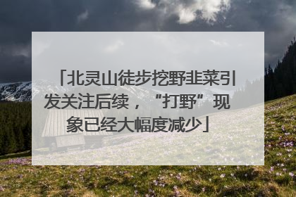 北灵山徒步挖野韭菜引发关注后续，“打野”现象已经大幅度减少