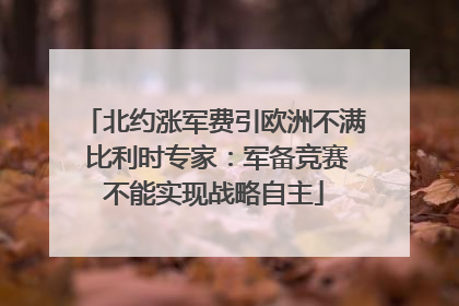 北约涨军费引欧洲不满 比利时专家：军备竞赛不能实现战略自主