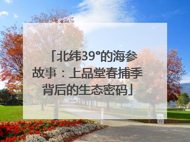 北纬39°的海参故事：上品堂春捕季背后的生态密码