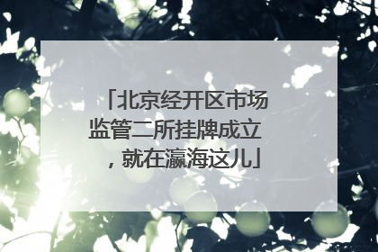 北京经开区市场监管二所挂牌成立，就在瀛海这儿