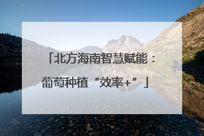 北方海南智慧赋能：葡萄种植“效率+”