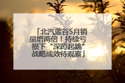 北汽蓝谷5月销量增两倍！持续亏损下“深蹲起跳”战略成效待观察