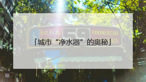 城市“净水器”的奥秘