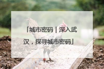 城市密码｜深入武汉，探寻城市密码